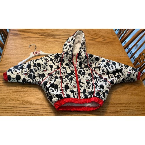 Vintage mickey mouse - ski, team